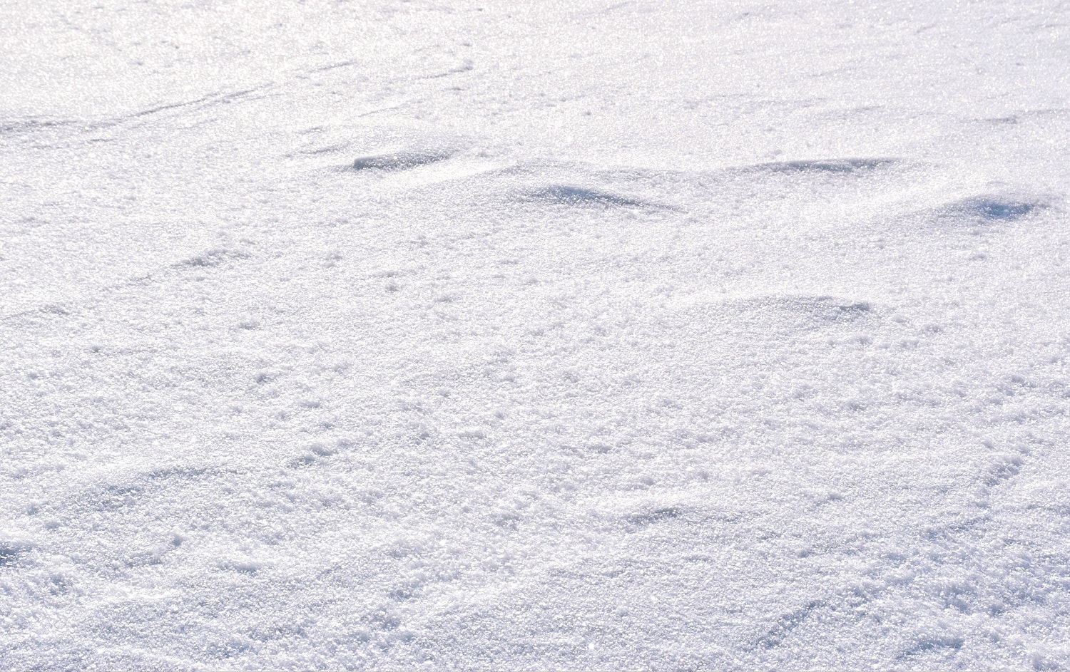 White Snow with Footsteps - Photo by Liudmila on Unsplash
