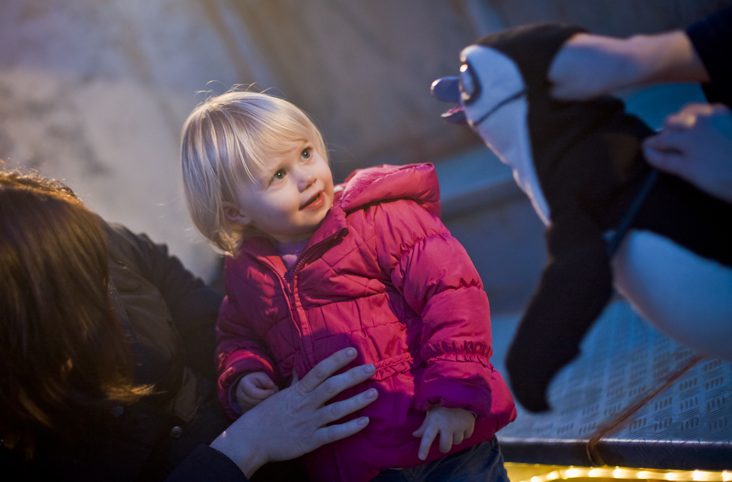 The Penguin with an Emergency Story situation