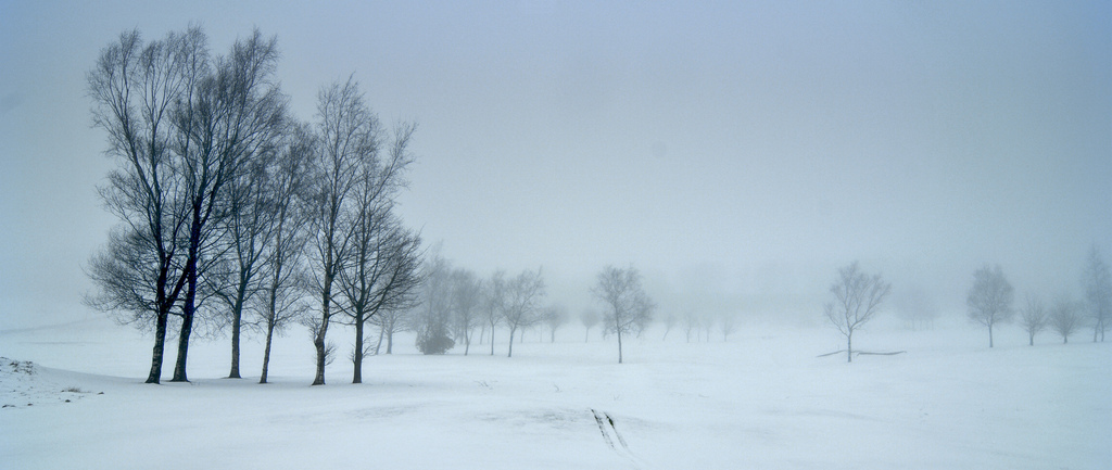 Golf Course In The Fog Simon Harrod Flickr
